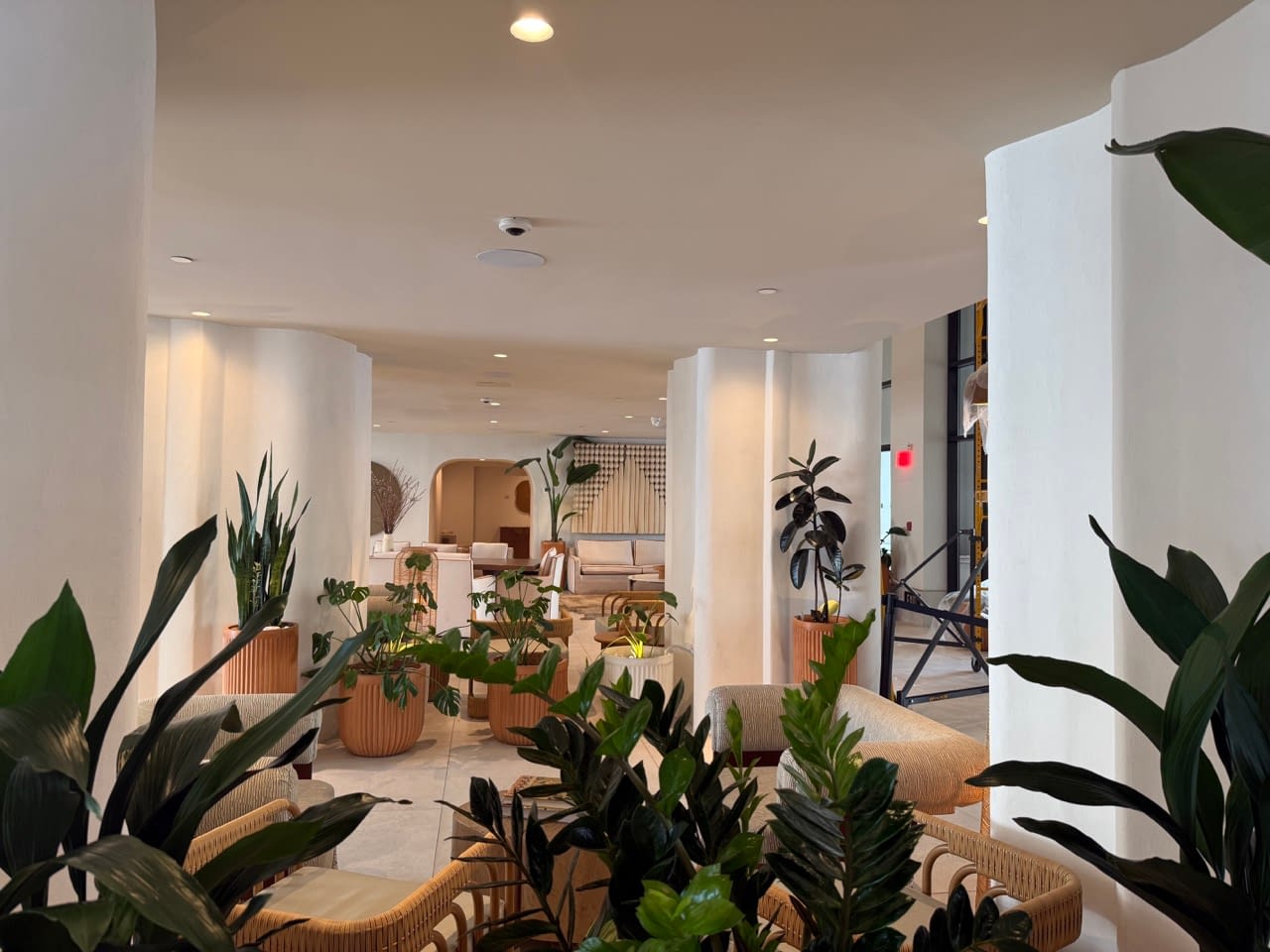 pet friendly hotels santa monica pet friendly hotels near lax best place to stay in los angeles without a car