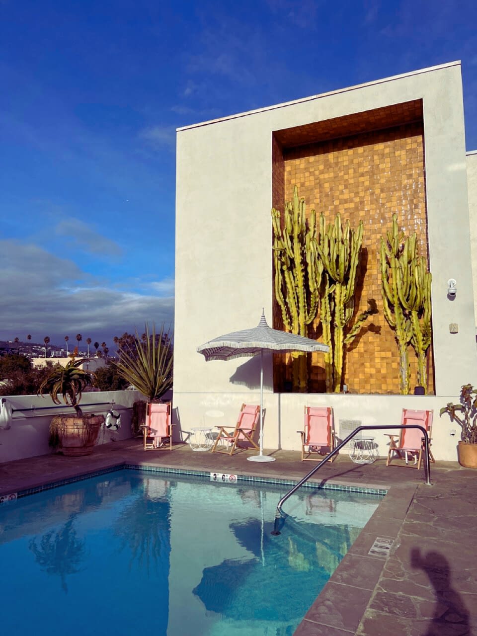 Silverlake Pool and Inn where to stay in los angeles area best area to stay in los angeles pet-friendly