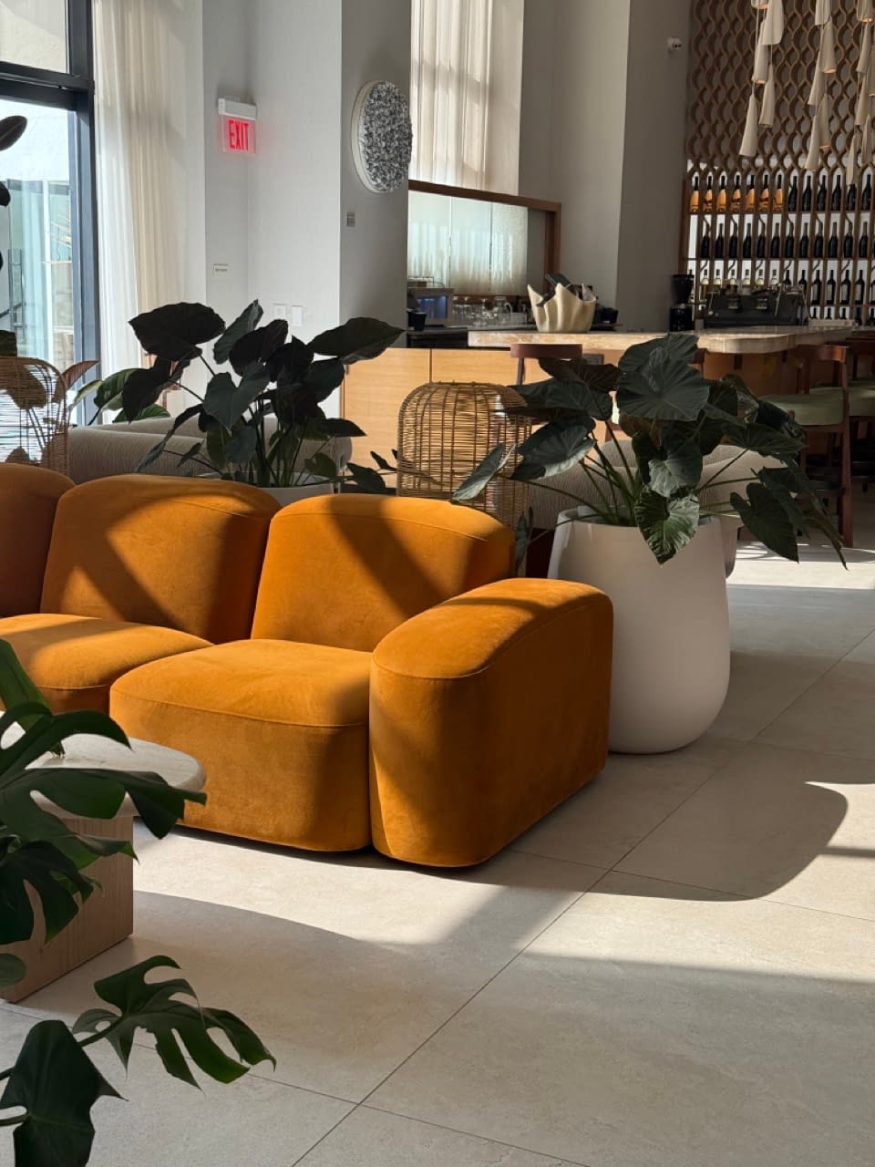 los angeles hotels pet friendly beautiful los angeles hotels where to stay in los angeles where to stay in los angeles for tourists