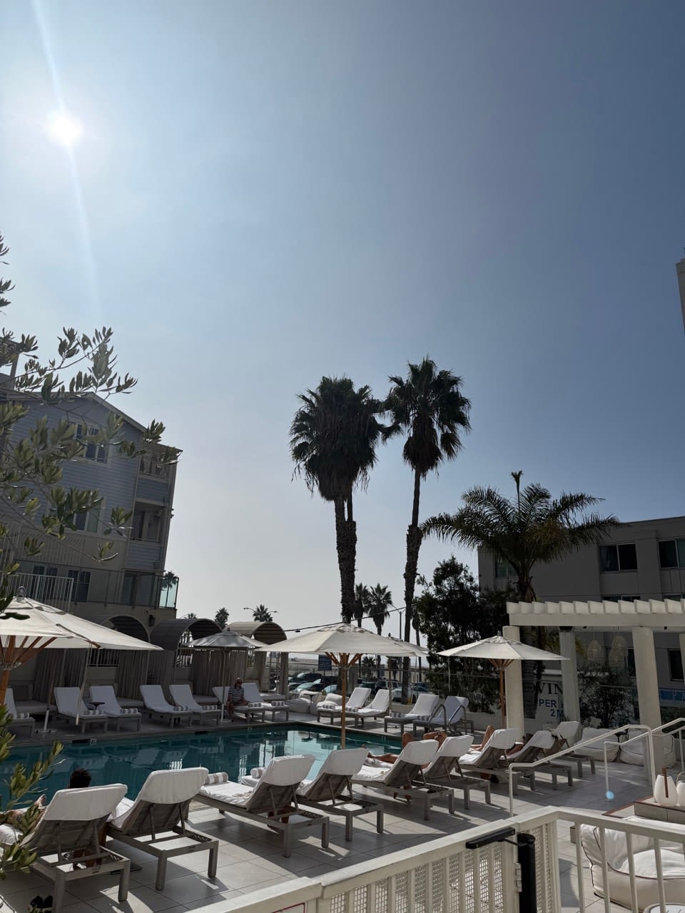 pet friendly hotels santa monica pet friendly hotels near lax best place to stay in los angeles without a car los angeles pet friendly hotel best pet friendly hotel los angeles
