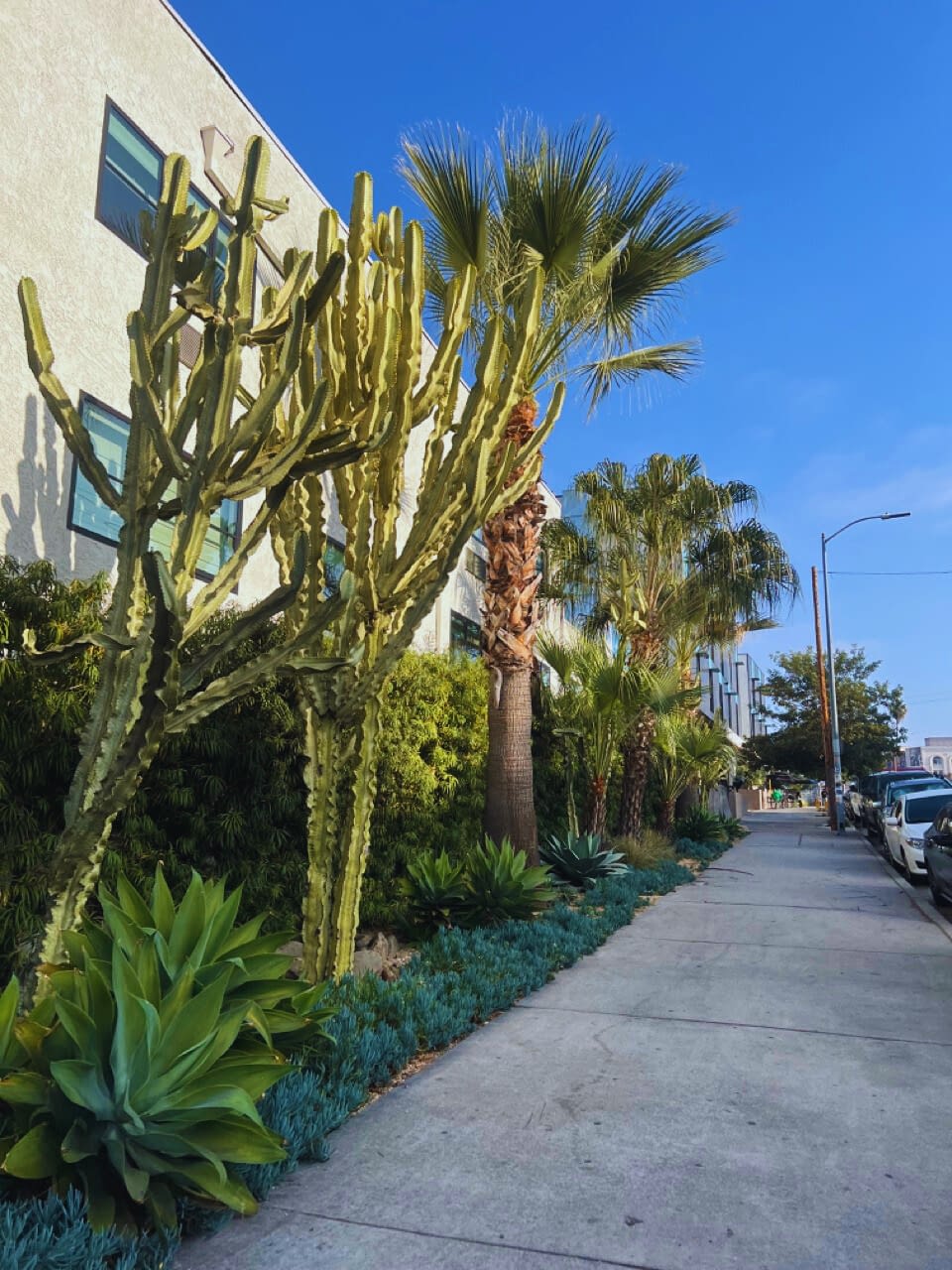 Silverlake Pool and Inn Where to stay in Los Angeles where to stay in los angeles for tourists