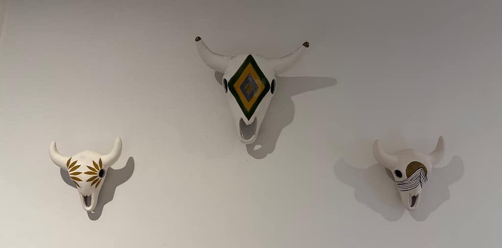 pal gallo skulls on bathroom wall pal.mar hotel san pancho