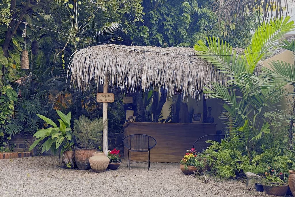 Reception at Alinea Yoga Wellness Center san pancho