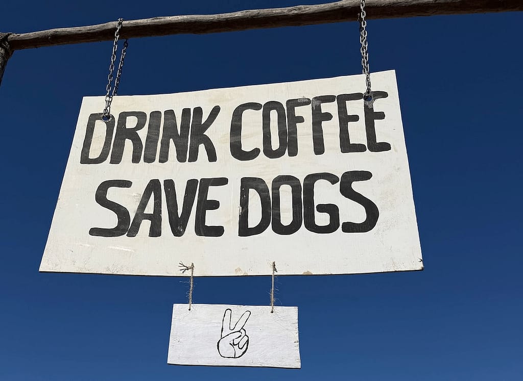 drink coffee save dogs sign at cerritos beach dogs dog rescue cafe el pescadero