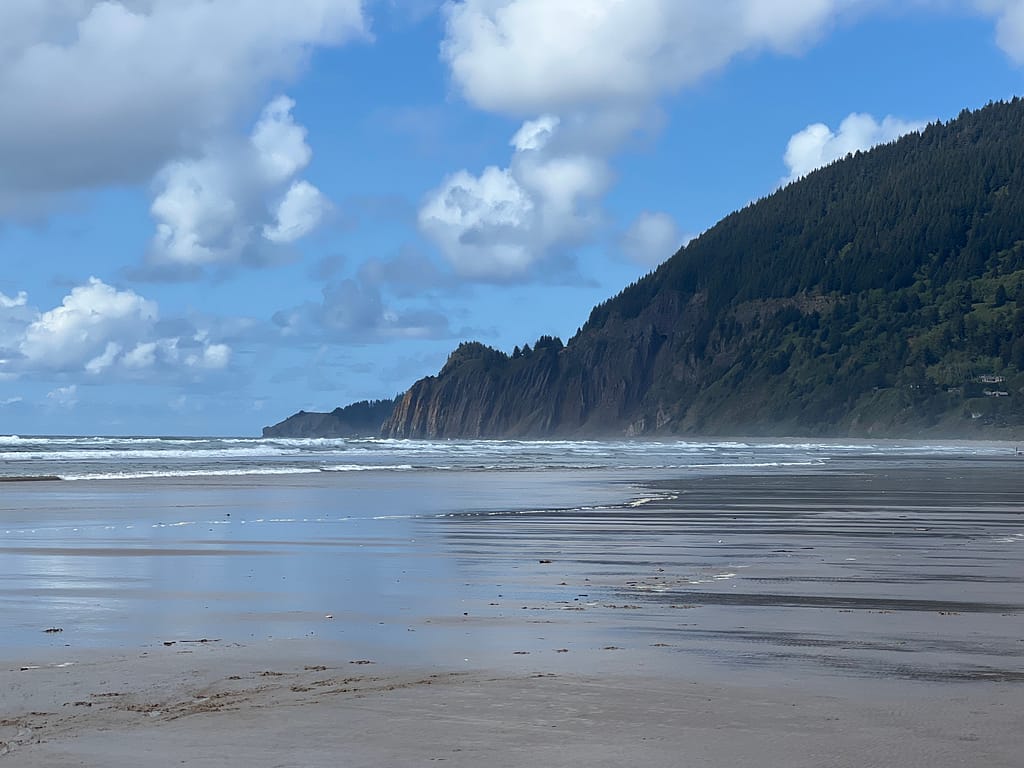 Manzanita Oregon beach hillside