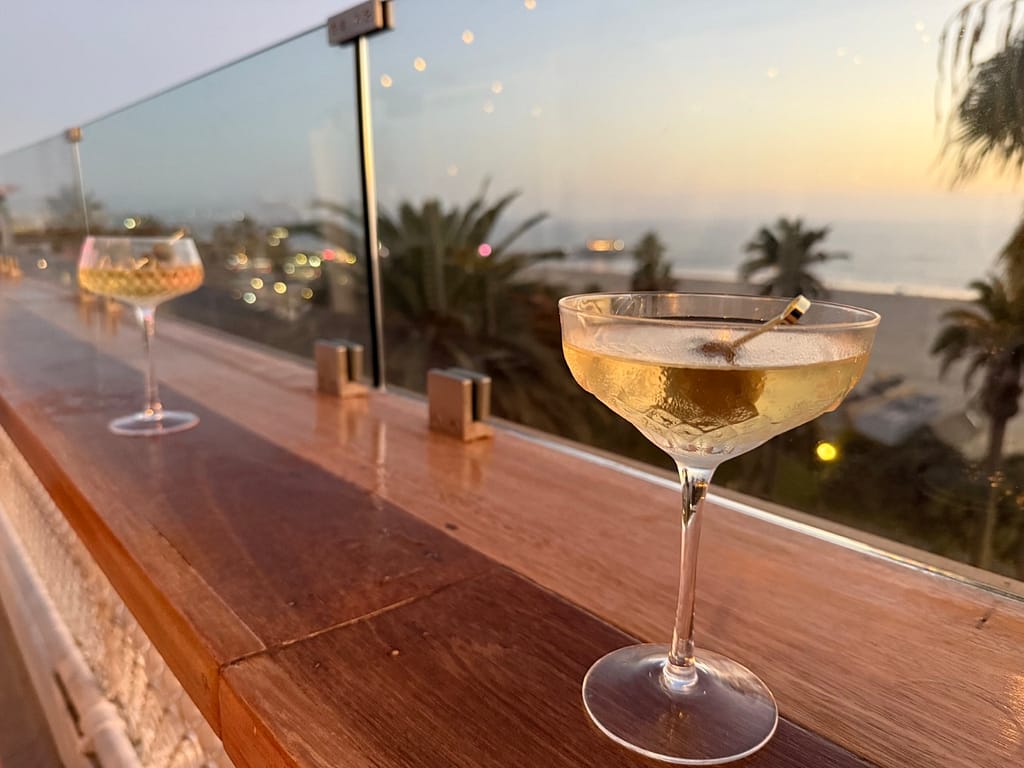 Martinis at the Velvet Rose rooftop bar The Eden hotel santa monica los angeles california pet friendly hotel