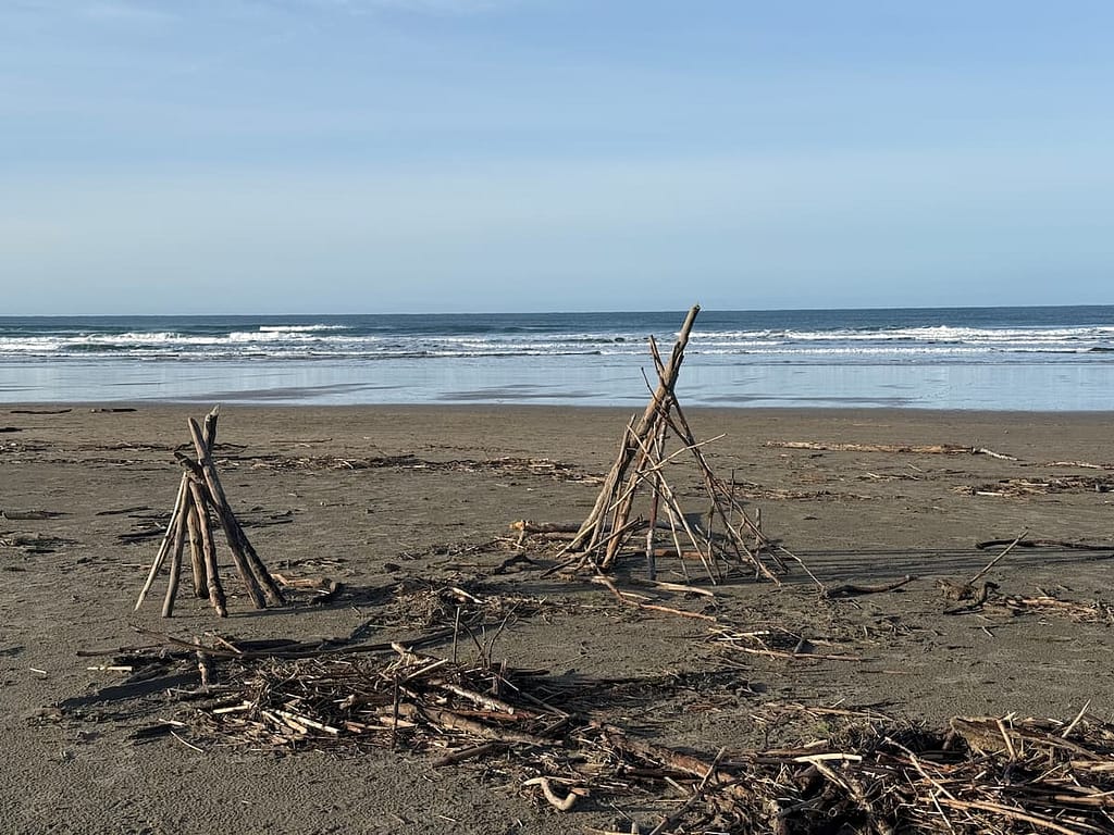 pet-friendly dog-friendly manzanita beach oregon north coast hallie hideaway