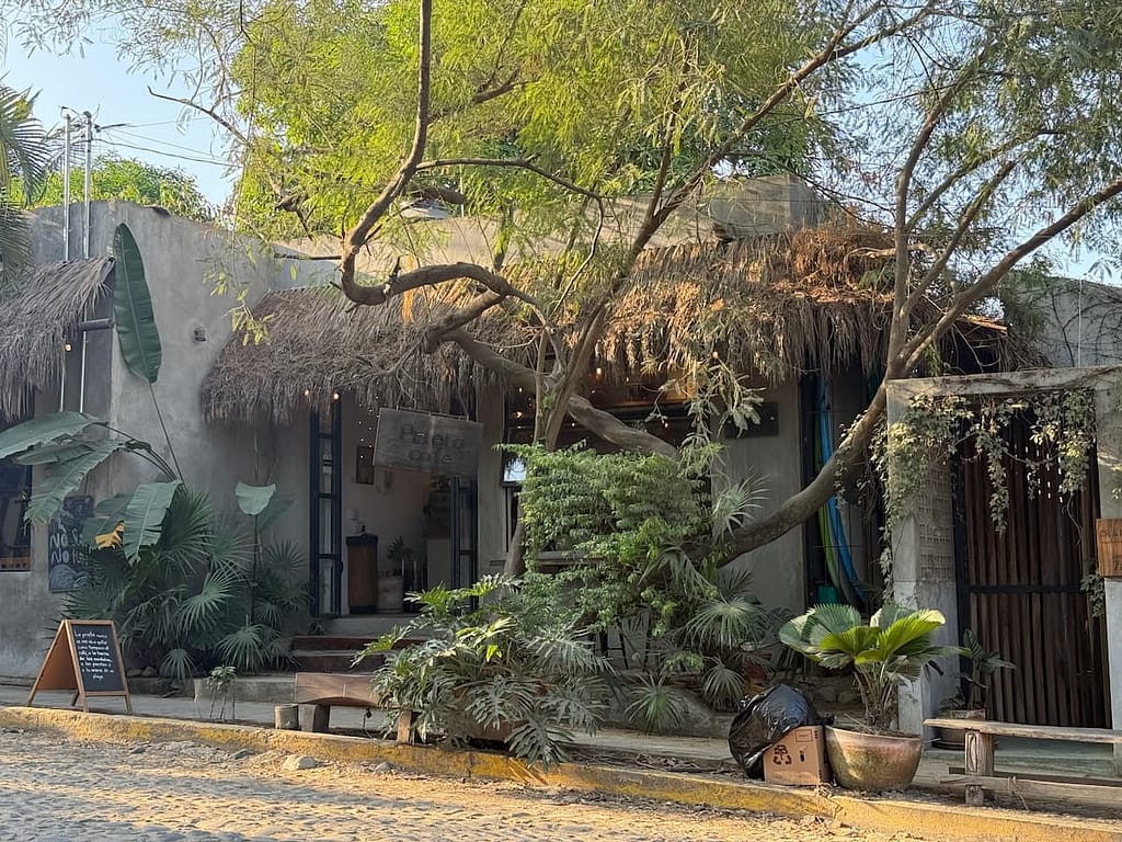 Prieta Cafe San Pancho Nayarit Mexico best coffee san pancho