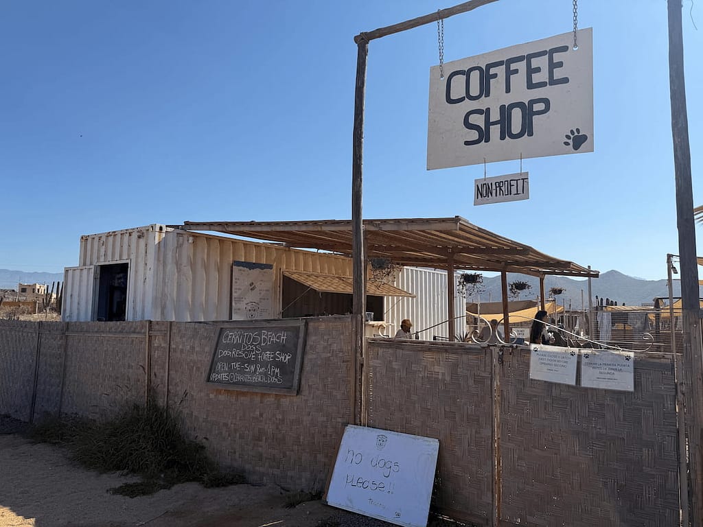cerritos beach dogs dog rescue coffee shop el pescadero front