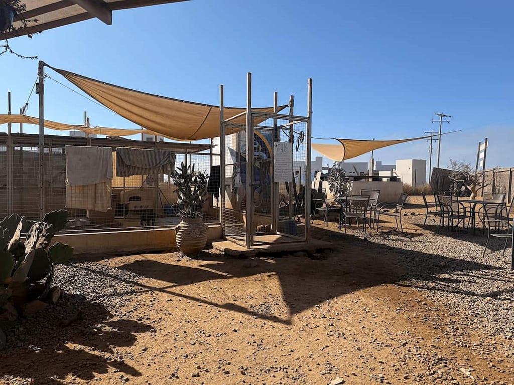 cerritos beach dogs pet rescue shelter space el pescadero