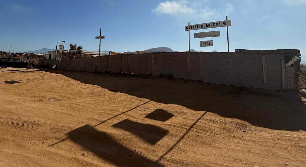 cerritos-beach-dogs-front-shadow
