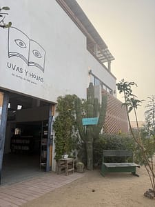 exterior of uvas u hojas cafe inside So Far So Good Hotel El pescadero baja sur