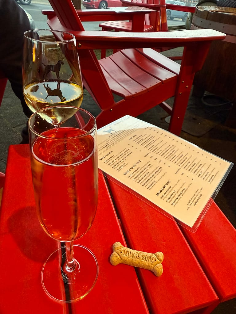 pet-friendly restaurants manzanita manzanita pet-friendly hotels