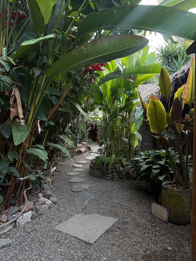 el estar yoga san pancho mexico best yoga san pancho