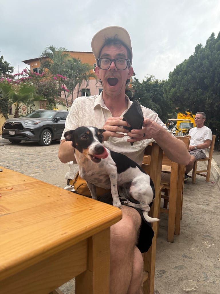 san pancho dog-friendly pal.mar hotel review