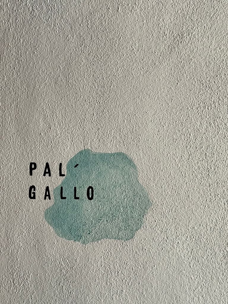 pal gallo room pal.mar hotel review san pancho boutique hotel nayarit mexico