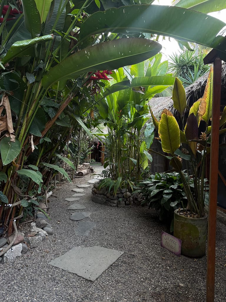 el estar yoga wellness path to studio