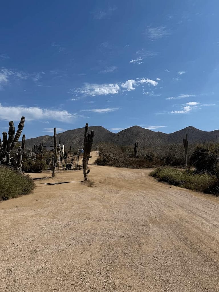 los cerritos dusty road to don nacho restaurant los cerritos baja sur mexico