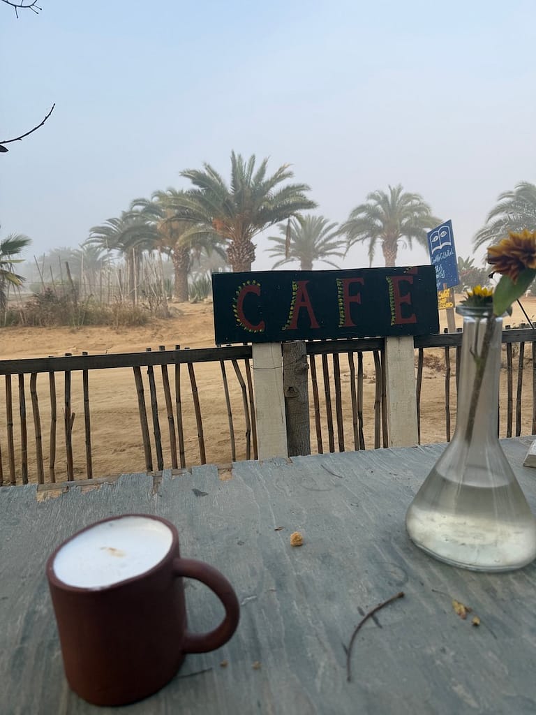 coffee mug on patio uvas y hojas los cerritos el pescadero baja sur