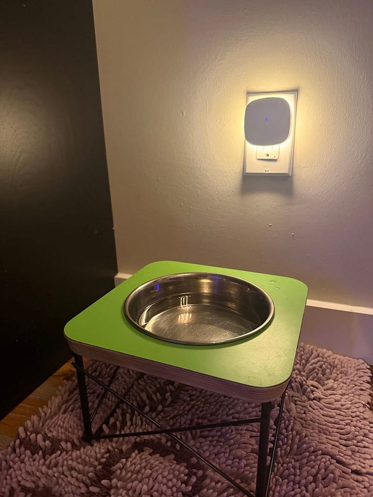 dog bowl in pacifc city oregon coast shipping container beach rental dog friendly