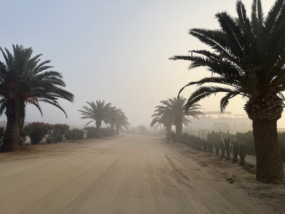 uvas-y-hojas-road los cerritos road to So Far So Good Hotel El pescadero baja sur